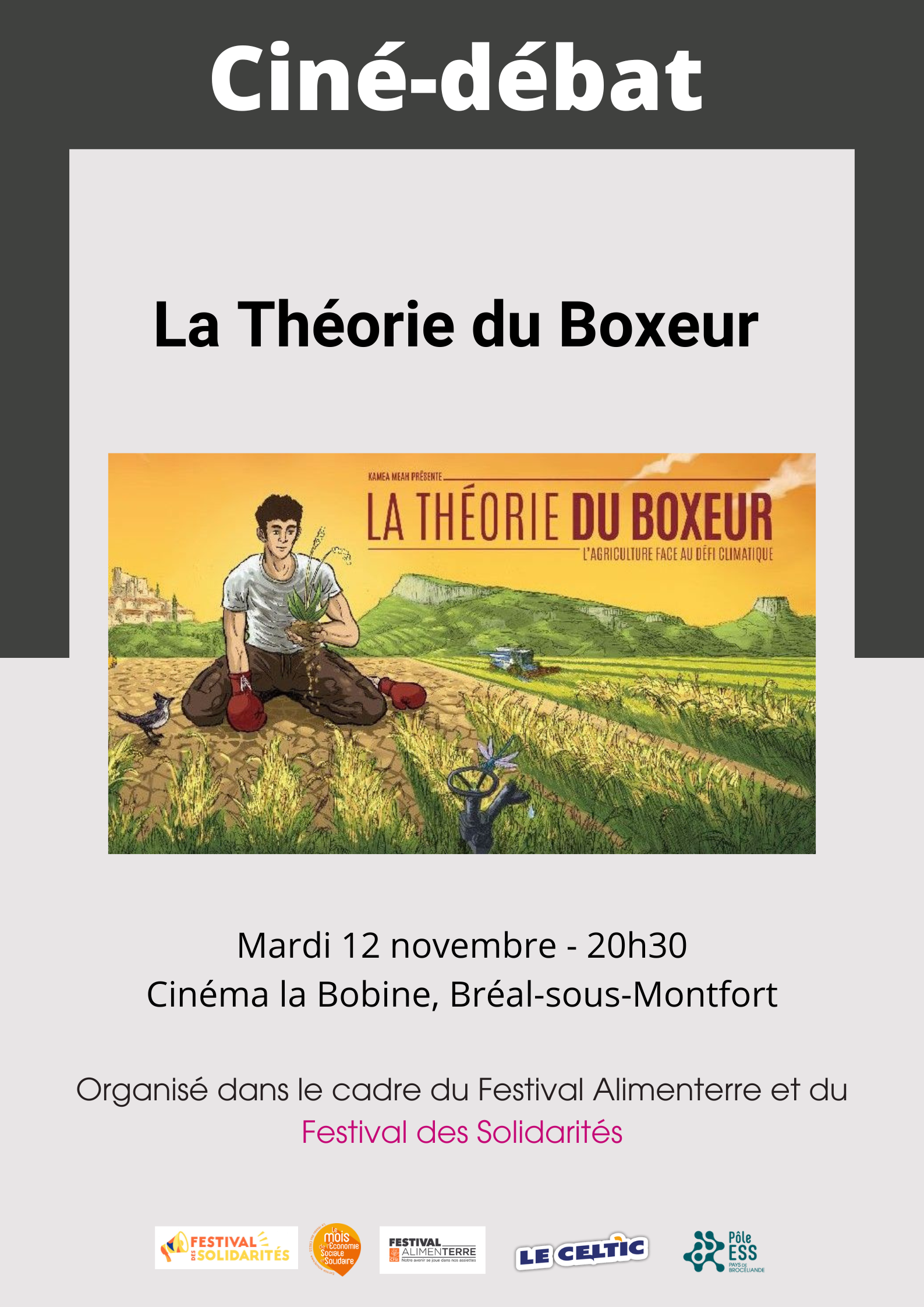 Affiche "la théorie du boxeur"