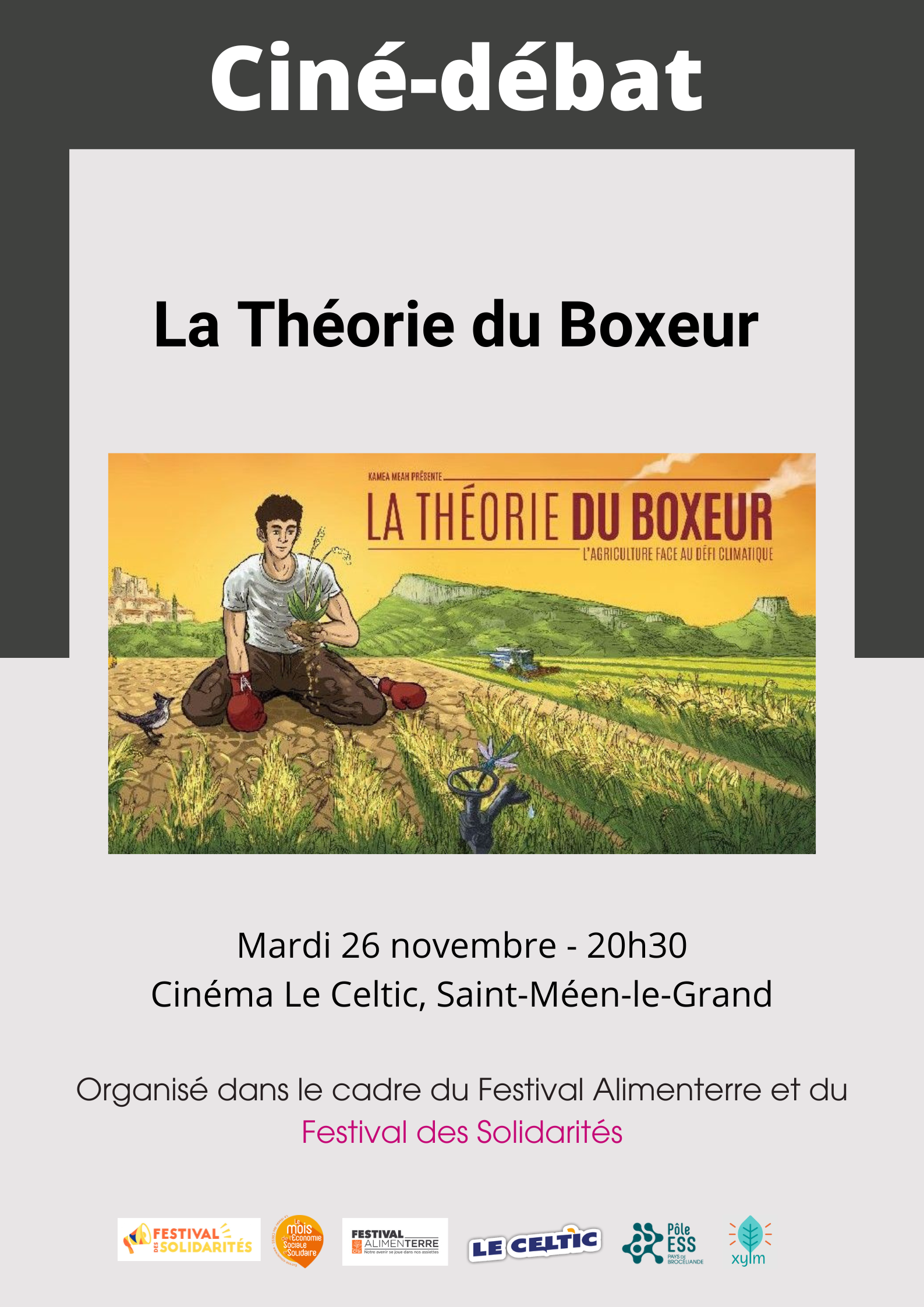 Affiche "la théorie du boxeur"