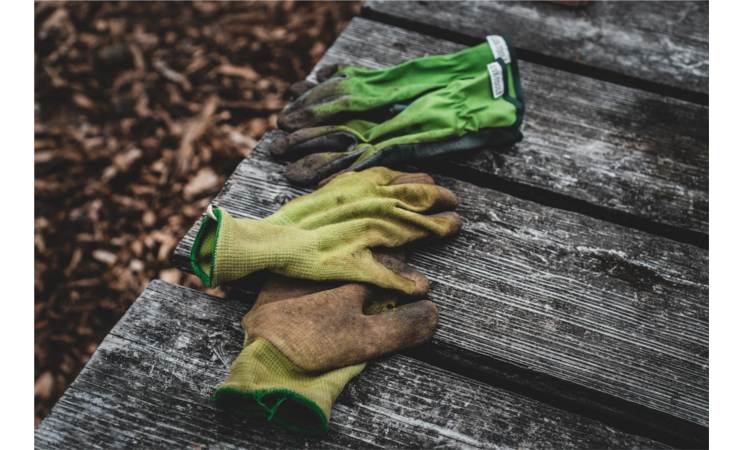 Atelier jardin : le jardin pour les nuls