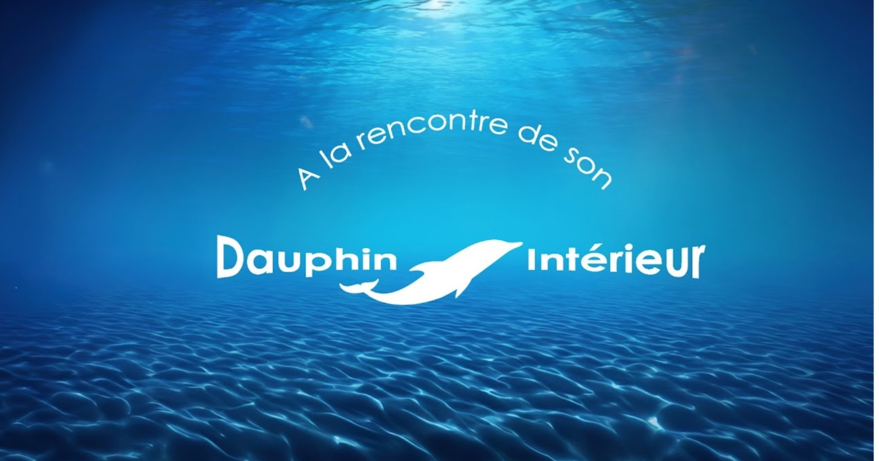 A le rencontre de votre dauphin intérieur 