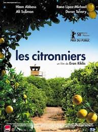 citronniers